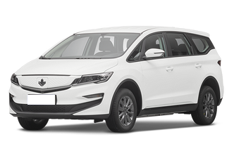 Livan Maple 80V